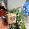 Love in the air!