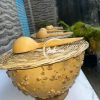 Calebasse africaine